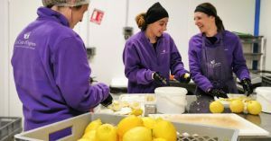 Coulisses de fabrication - citrons de Menton